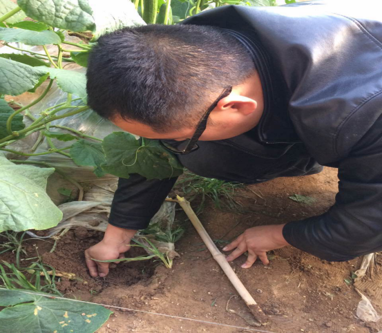 1525659553343896.png blob.png