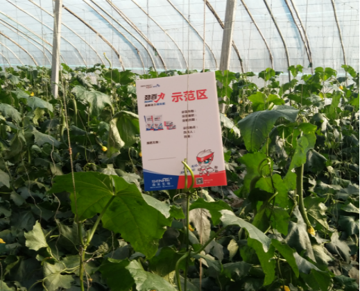 1525659697309207.png blob.png