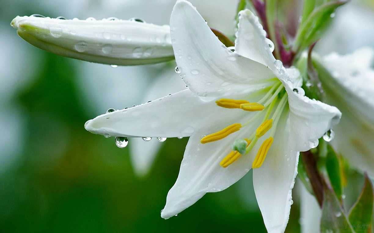 1553132659863217.png 2-7.png