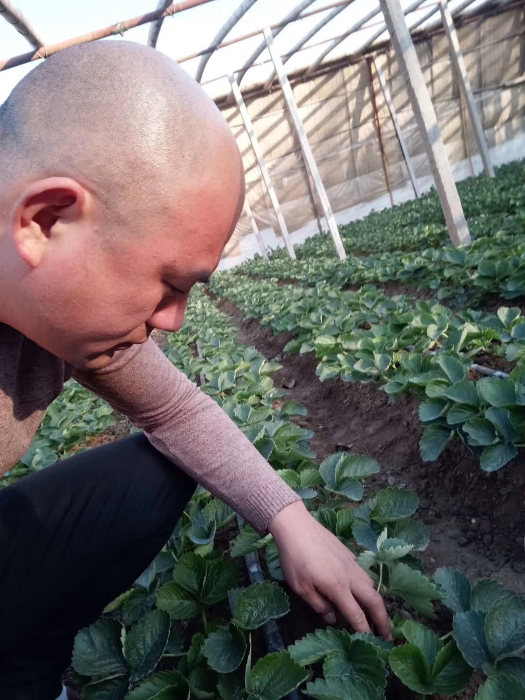 1559187082829394.jpg 微信圖片_20181227141902.jpg