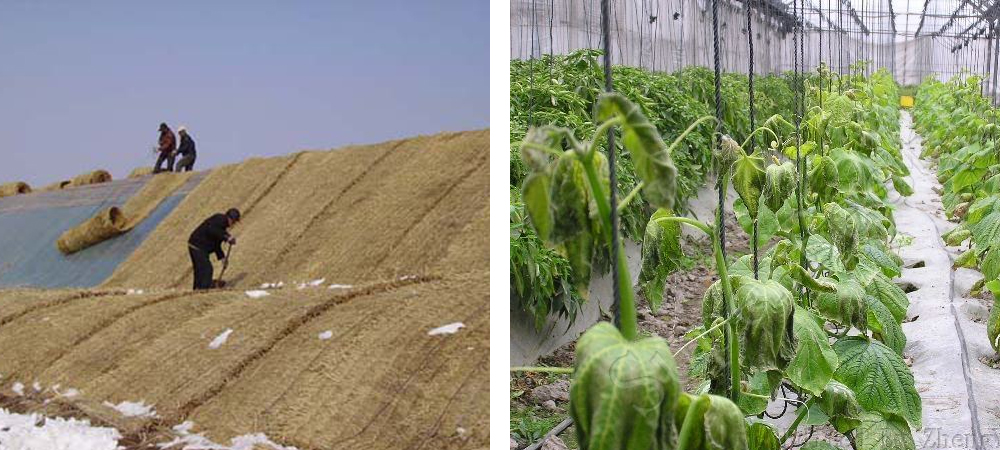 1561780392121706.jpg 1.jpg