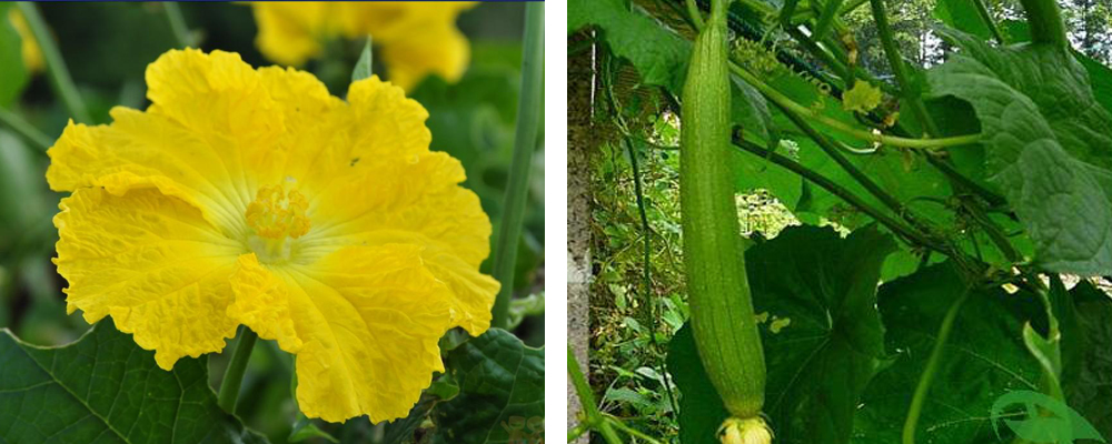 1561789856109842.jpg 2.jpg