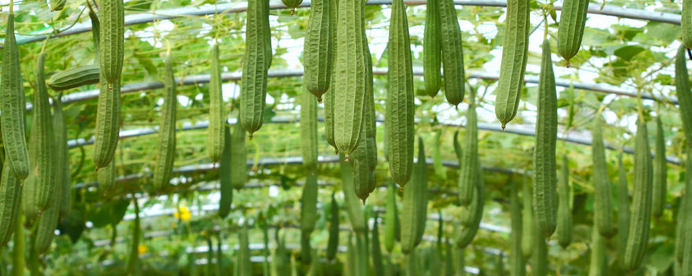 1561789863135498.jpg 3.jpg