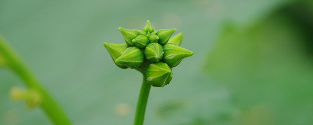 1561789919106736.jpg 8.jpg