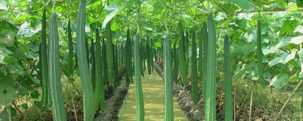 1561789948283880.jpg 7.jpg