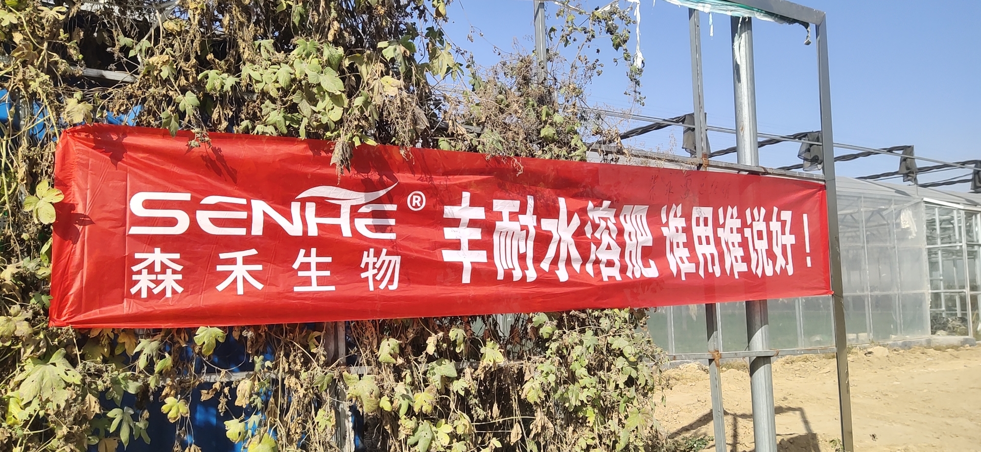 1575525856766730.jpg 條幅2.jpg